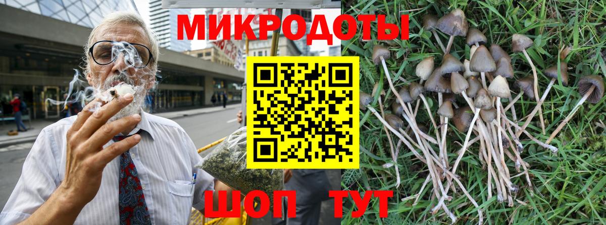 Псилоцибиновые грибы Psilocybine cubensis Борзя