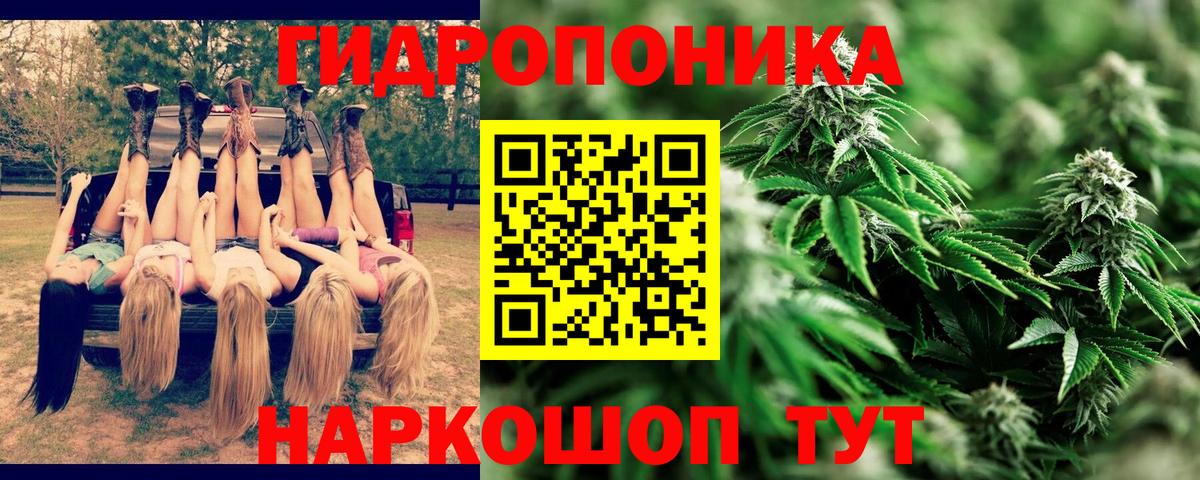Борзя  МАРИХУАНА индика  МАРИХУАНА SATIVA & INDICA  Бошки марихуана сатива  Вход с VPN 